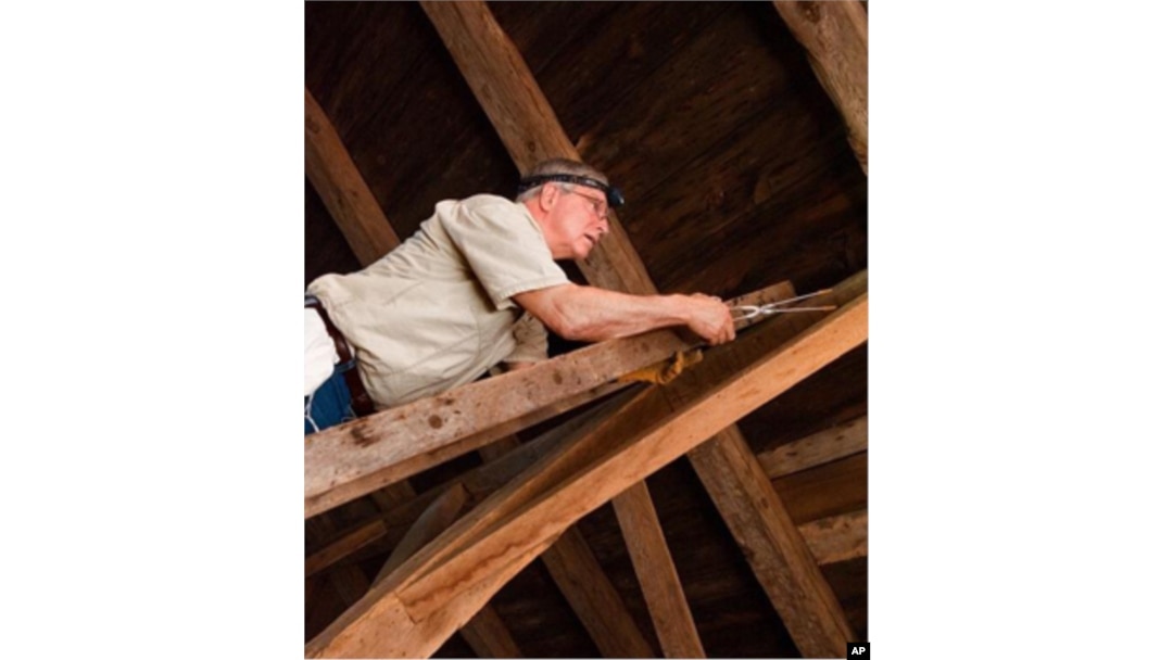 Tom Kunz trapping bats in Framingham, Mass.