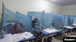 مختلف شہروں میں ڈینگی بخار کے مریضوں میں اضافے کے باعث اسپتالوں میں مزید مریضوں کی گنجائش موجود نہیں ہے — فائل فوٹو