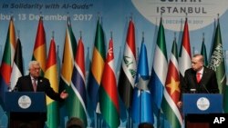 巴勒斯坦权力机构主席阿巴斯在伊斯兰合作组织特别峰会结束后的记者会上讲话。土耳其总统埃尔多安在一旁聆听。（2017年12月13日）