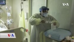 WHO Banga Lêkolînkirina Mirinên Gumandar Dike