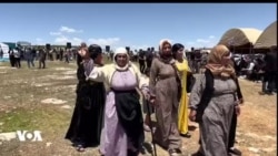 Li Kobanîyê Civata Pêkhate û Eşîrên Herêma Firatê Pêk Hat