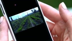 Farms Go Digital: Food Startups Connect Farmers to Foodies
