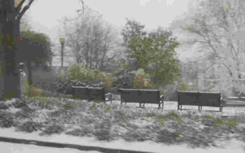 Washington se tiñe de blanco bajo una escasa capa de nieve.