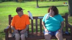 Կյանքը կաթվածից հետո կամ «երջանկության թռչունները»