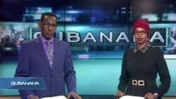 Qubanaha VOA, March, 7, 2019