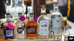 A bottle of Agave Murrieta, far right, is shown by Leo Ortega, made from Agave Americana plants grown at Ortega's home in Murrieta, Calif., Oct. 17, 2023.