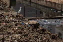 A bird stands atop a mound of rubbish overlooking a polluted canal in Dakar, Senegal, Apr. 23, 2021.