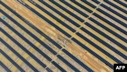 Solarna elektrana u Indiji (Foto: AFP /Punit PARANJPE)