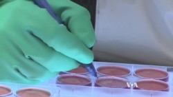 Researchers Testing Drugs Against Ebola