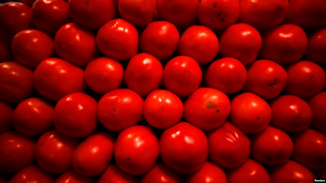 Tomatoes and other vegetables can be grown in EarthBox.