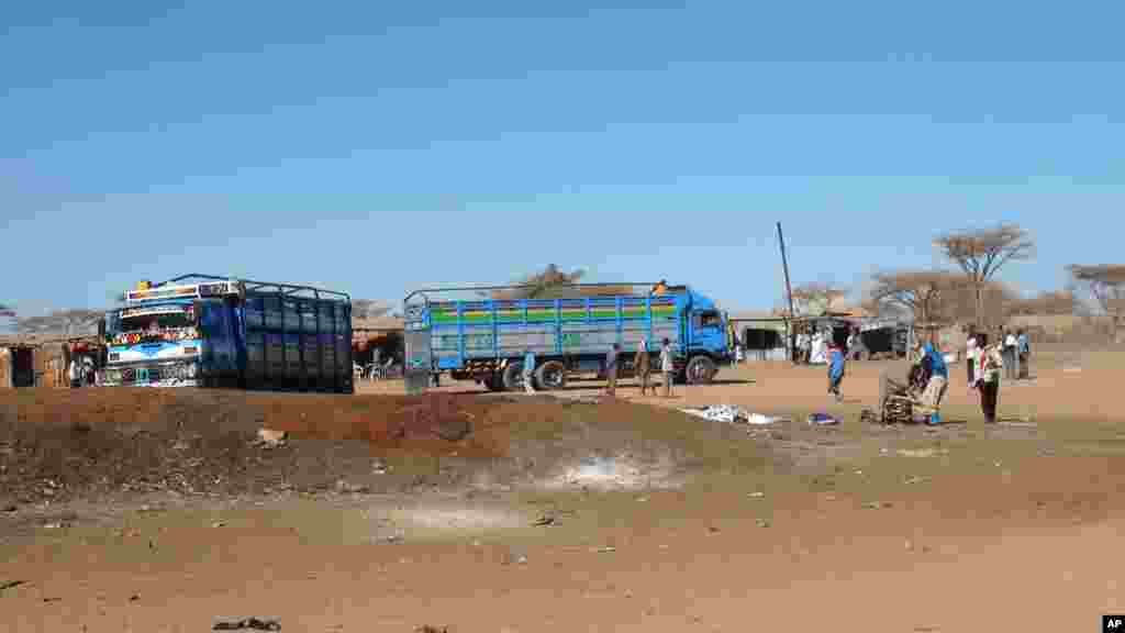 Seyladda Xoolaha ee Burco