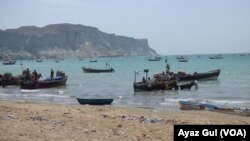 Chinese operators of Gwadar's port say they are also developing a mechanism to improve quantity and quality of the local fishing industry to help boost the region’s economy.