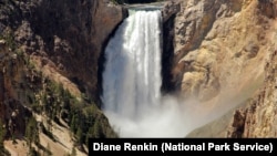 View of the Lower Falls of the Yellowstone River, Yellowstone National Park. (Photo: NPS/Diane Renkin)