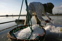 Seorang petani mengumpulkan garam saat panen di desa Benowo di provinsi Jawa Timur, Indonesia, 15 Juli 2009. Seorang petani mengaku mendapat upah sekitar $20 untuk 20 hari kerja.