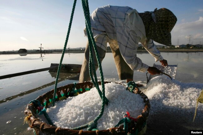 Seorang petani mengumpulkan garam saat panen di desa Benowo di provinsi Jawa Timur, Indonesia, 15 Juli 2009. Seorang petani mengaku mendapat upah sekitar $20 untuk 20 hari kerja.