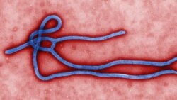 U.S. Aiding The Fight Against Ebola Virus