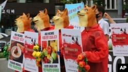 Aktivis vegetarian Korea Selatan yang mengenakan masker anjing melakukan unjuk rasa menentang budaya makan daging anjing di Korea Selatan di Seoul, Korea Selatan, Kamis, 16 Juli 2020. (Foto: AP)