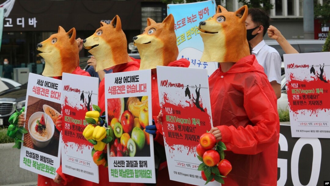 Aktivis vegetarian Korea Selatan mengenakan kostum merah dengan kepala anjing, berunjuk rasa menentang budaya Korea Selatan makan daging anjing di Seoul, Korea Selatan, Kamis, 16 Juli 2020.