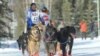 Alaska’s Iditarod Joins New Global Sled-dog Racing Series