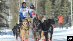 FILE - Iditarod musher Mishi Konno runs his team along the trail during the ceremonial start of the Iditarod Trail Sled Dog Race, March 2, 2019 in Anchorage, Alaska. 