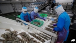 FILE - Workers size shrimps at Thai Union factory in Samut Sakhon, Thailand, Aug. 23, 2016.