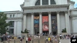 Tourists outside a Washington D.C. museum