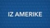 Iz Amerike 238 | Kako Amerika vidi proteste u Srbiji? Mask smanjuje federalnu vladu; Ptičiji grip