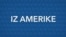Iz Amerike 238 | Kako Amerika vidi proteste u Srbiji? Mask smanjuje federalnu vladu; Ptičiji grip