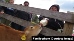 Lalah Williams feeding a calf during a Girl Scout visit to a farm. 