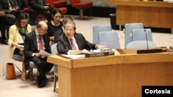 El Canciller Holmes Trujillo agradeció a los miembros del Consejo de Seguridad por su visita a Colombia, efectuada la semana pasada por invitación del Gobierno Nacional. 