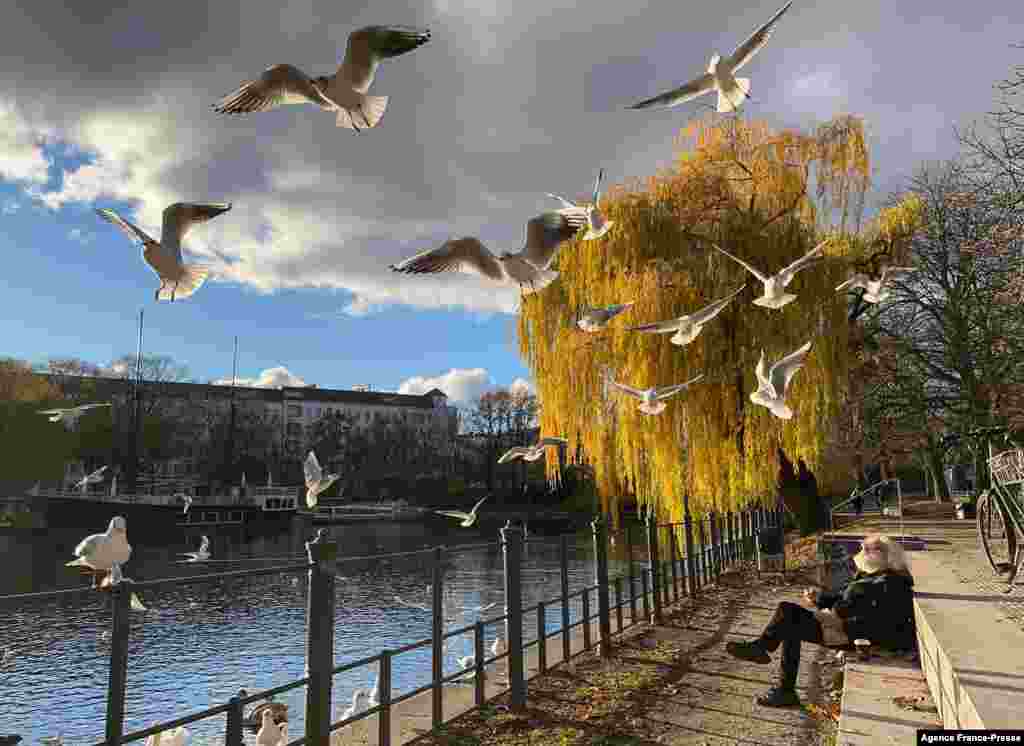 A man feeds seagulls from the banks of the Landwehr Canal as the sun shines in Berlin&#39;s Kreuzberg district, Germany.