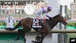 Mario Guitierrez rides Nyquist to victory in the 142nd running of the Kentucky Derby horse race at Churchill Downs in Louisville, Ky., May 7, 2016.