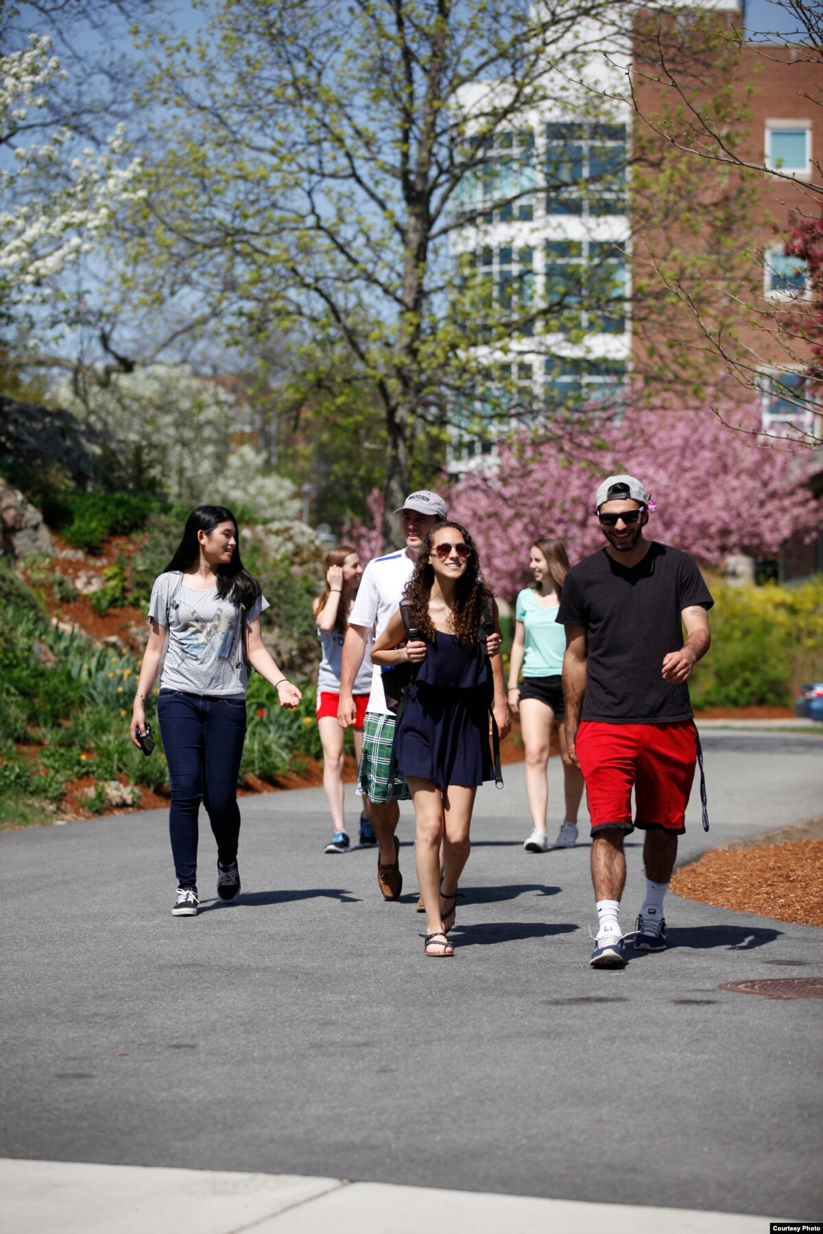 College Admissions: Understanding the Common Application