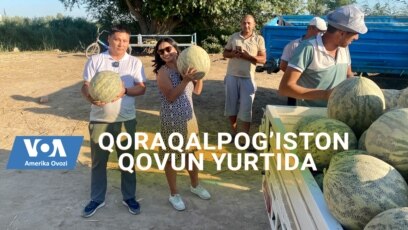 Qoraqalpog'iston qovuni, Rustemning polizlari 