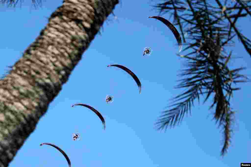 카타르 국경일을 맞아 도하에서 열린 기념식에서 낙하산 부대가 하늘을 날고 있다.