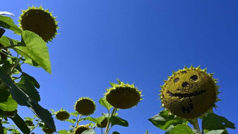 Keep on the ‘Sunny Side’