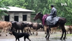 Nicaragua Health -- USAGM