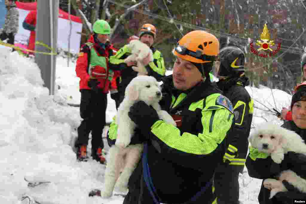 Italian firefighters hold puppies rescued from the Hotel Rigopiano in Farindola, central Italy, hit by an avalanche, in this picture released by Vigili del Fuco.