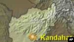 قندھار میں بڑی فوجی کارروائى شروع ہوگئى: امریکی کمانڈر