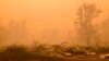 Oregon Jury Awards $85 Million to 9 Victims of Deadly 2020 Wildfires