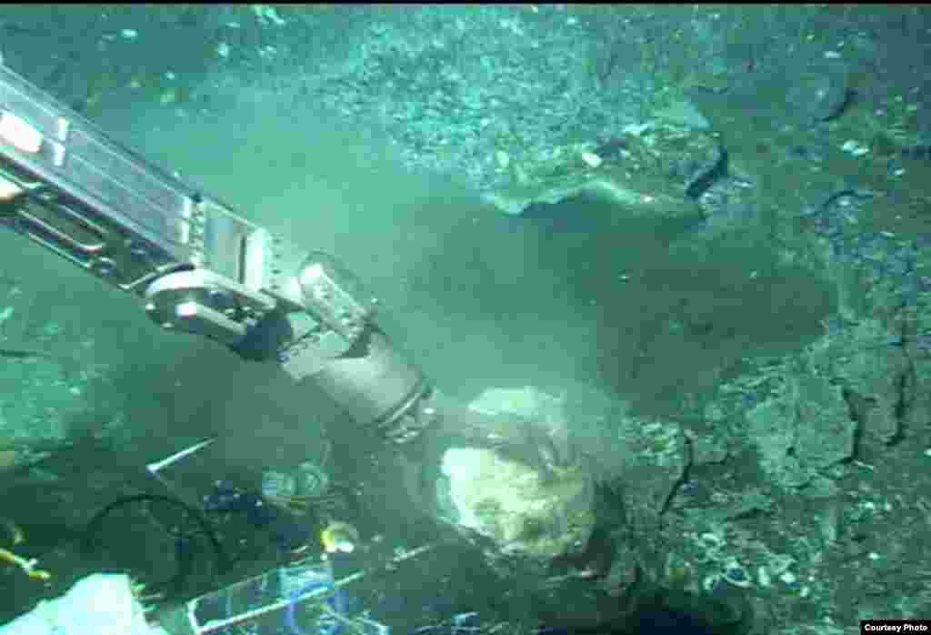 Manipulator arm of Alvin submersible collecting piece of carbonate from the ledge of the methane seep, Costa Rica Margin, 1,000 meters deep. (V. Orphan) 