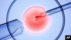 The proposed law would permit doctors to combine male and female cells to create an embryo in unmarried or gay women. 