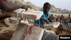 Workers unload slabs of salt from camels in the town of Berahile in Afar, northern Ethiopia April 19, 2013.