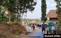 Warga Kulonprogo bersama-sama mengolah hasil panen. (Foto: VOA/ Nurhadi)