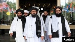 طالبان وفد (فائل)