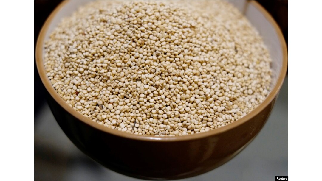 Semangkuk biji Quinoa di dapur restoran "Go Green" di La Paz, Bolivia, 2 Februari 2018.