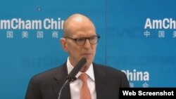 中国美国商会主席威廉·扎里特（William Zarit）（资料照片）