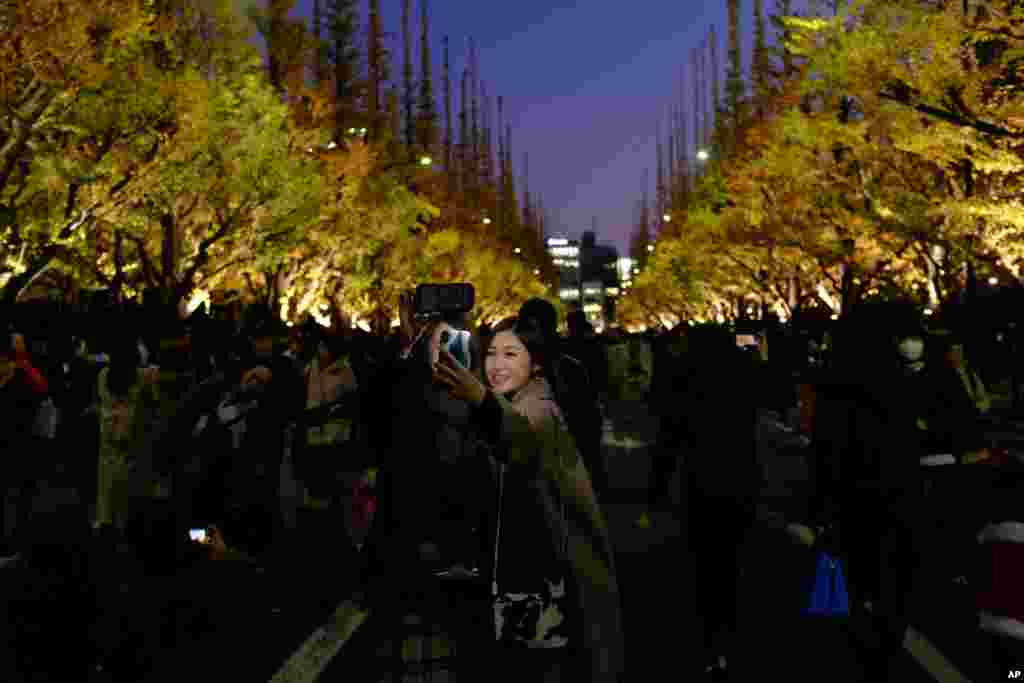 Visitors fill the street and take pictures as the bright golden ginkgos are lit up along Icho Namiki Dori, the ginkgo tree-lined boulevard, at Meiji Jingu Gaien in Tokyo, Japan, Nov. 30, 2019.