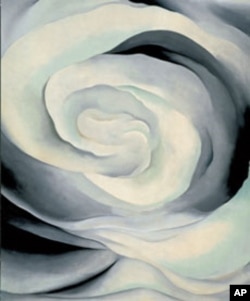 Abstraction White Rose