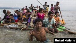 Người tị nạn Rohingya vượt sông Naf ngăn cách Bangladesh và Myanmar. (UNHCR/Andrew McConnell)